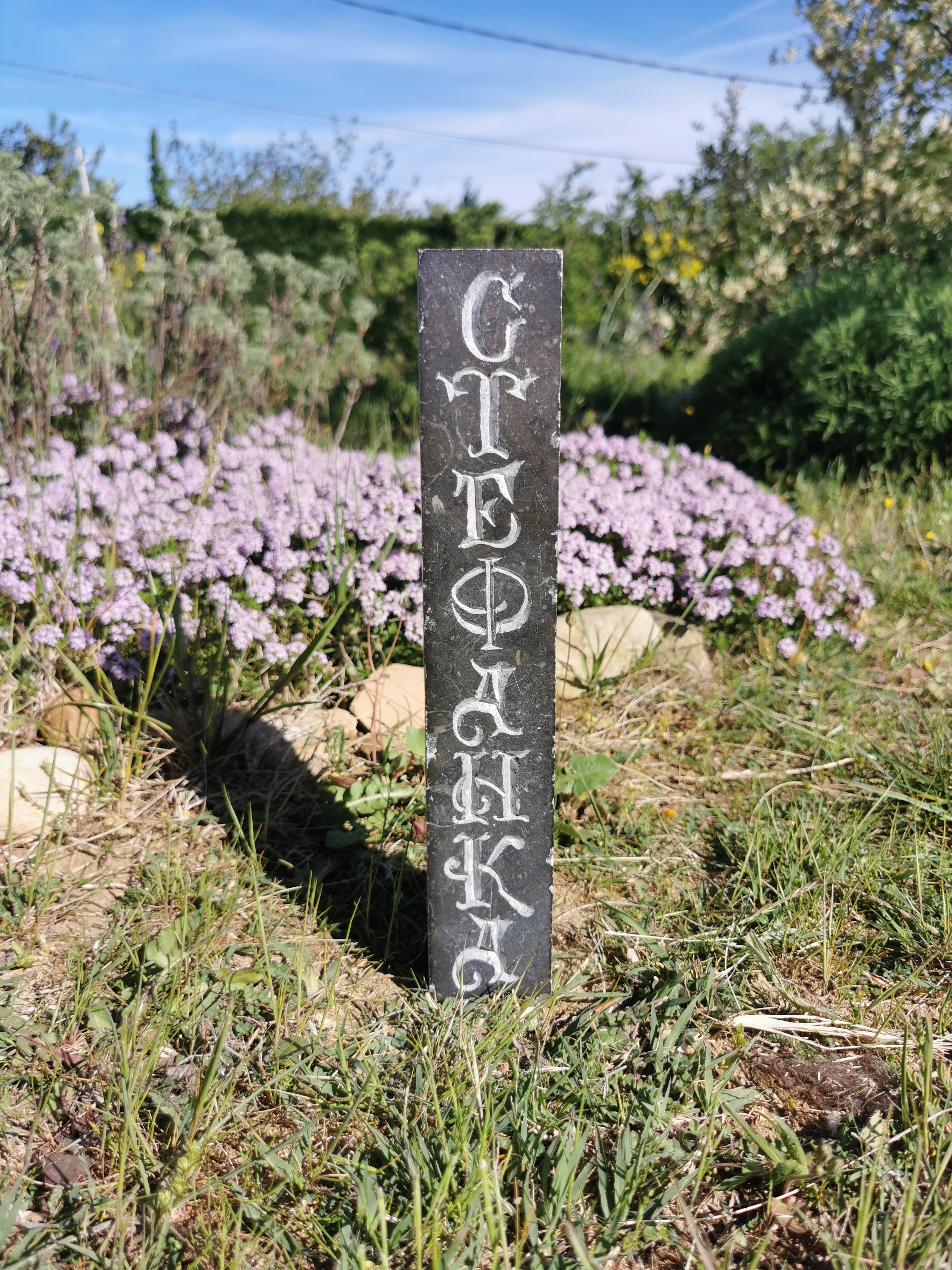 mise en scène de la gravure avec plantes